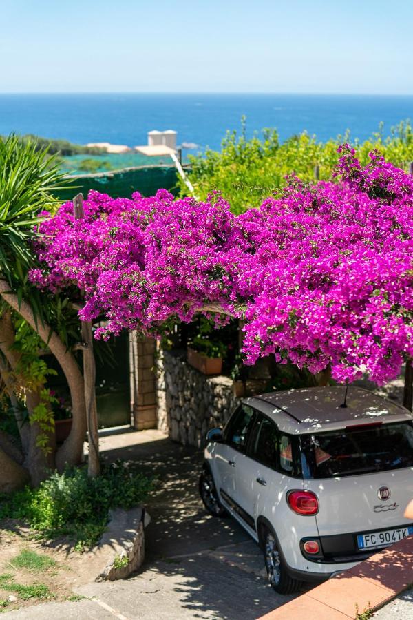 ماسّا لوبْرينسِ Villa Lorelei المظهر الخارجي الصورة